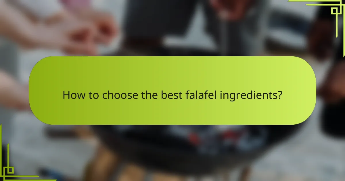 How to choose the best falafel ingredients?