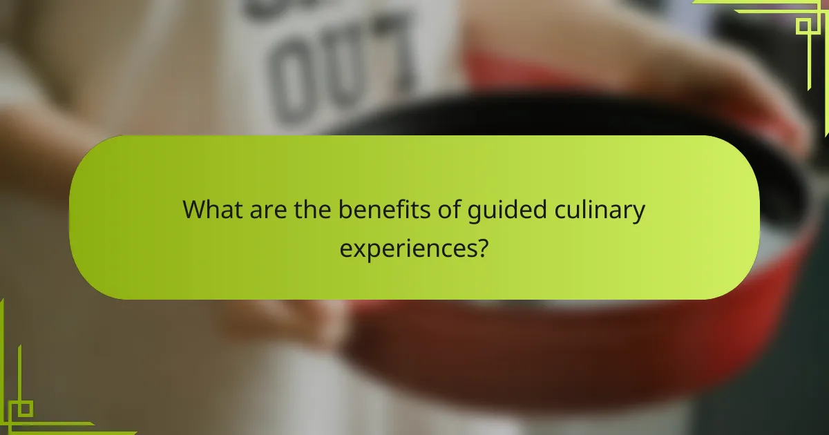 What are the benefits of guided culinary experiences?
