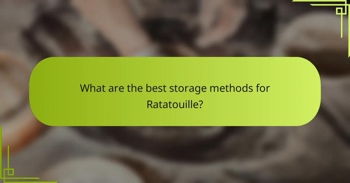What are the best storage methods for Ratatouille?