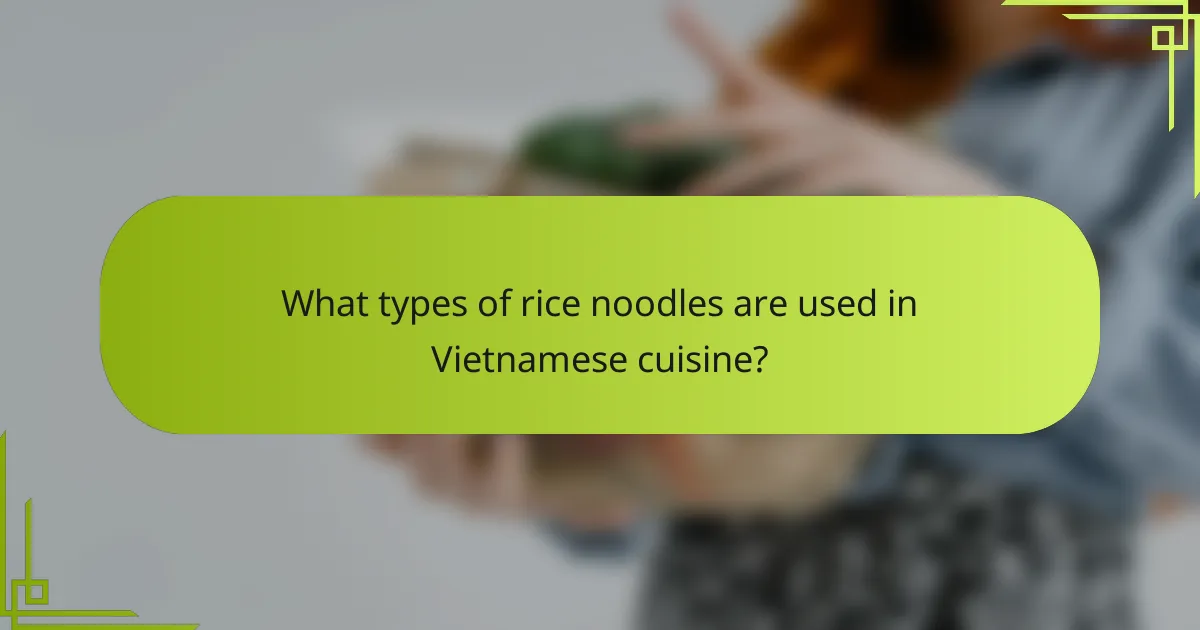 What types of rice noodles are used in Vietnamese cuisine?
